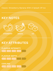 Strawnana Ice - STLTH 5K Rechargeable Disposable Vape