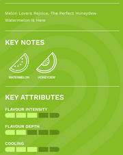 Watermelon Honeydew - STLTH 3K Disposable Vape