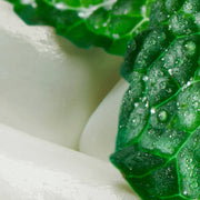 Peppermint RELX Pro Pods 2-pack