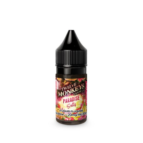 Paradise Salt (Strawberry Banana Pineapple Coconut) - Oasis by Twelve Monkeys